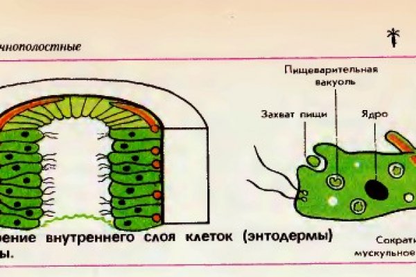 Кракен даркет